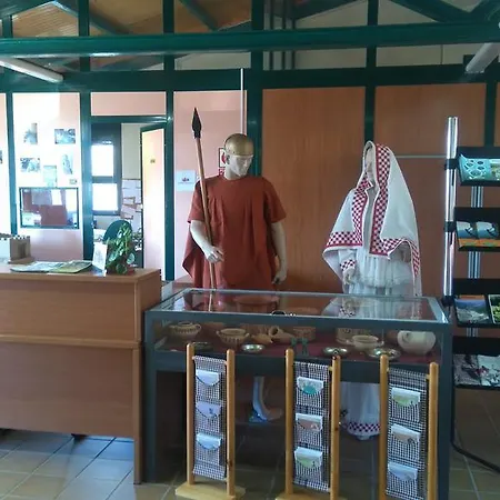 Municipal Camping Tivissa